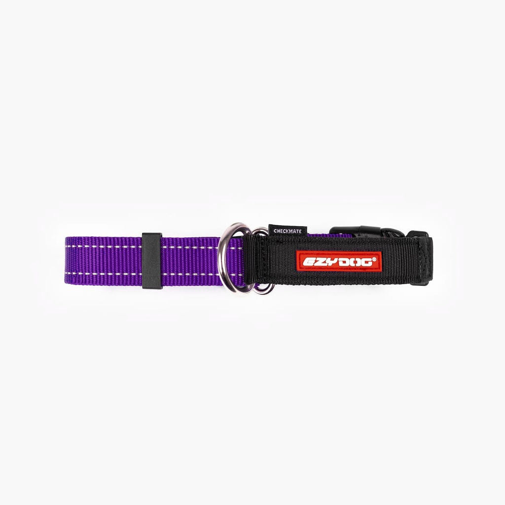 Front view of purple checkmate collar in white background