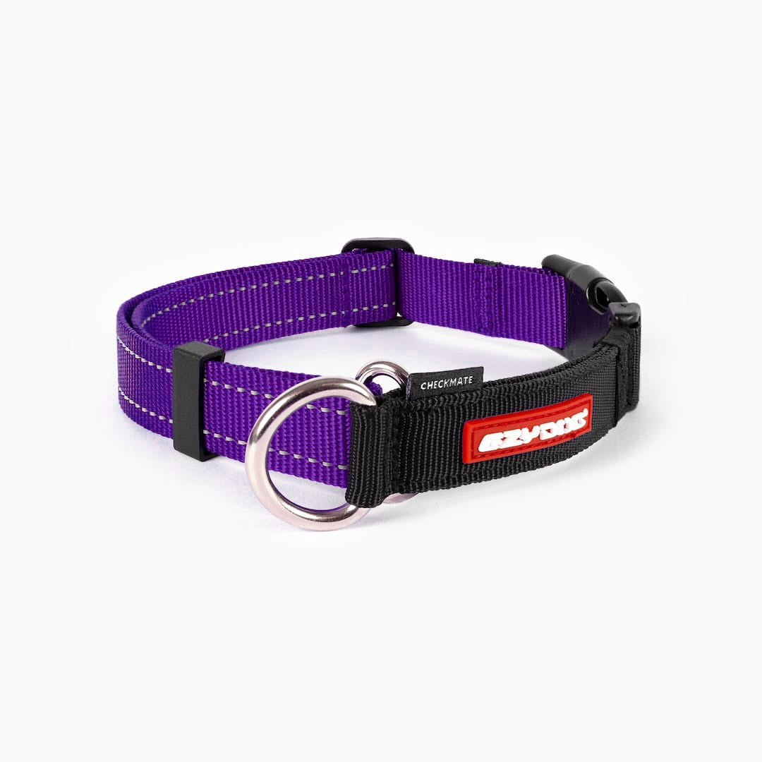 Front view of purple checkmate collar in white background