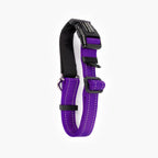 Back view of a purple checkmate collar in white background