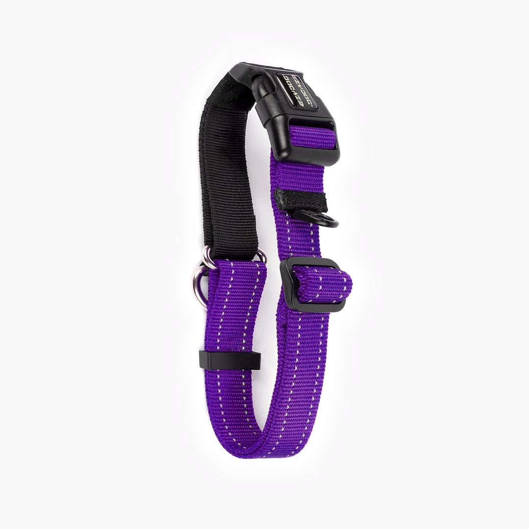 Back view of a purple checkmate collar in white background