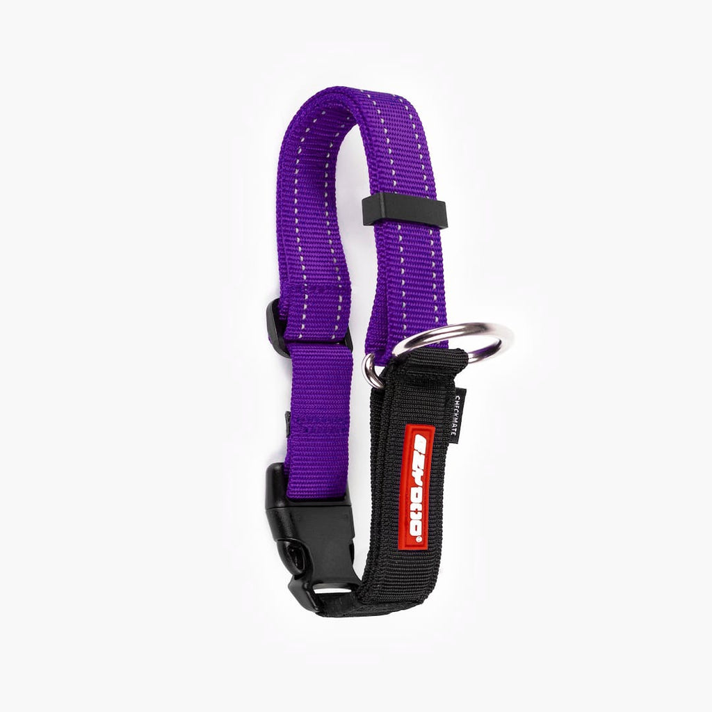 Front view of purple checkmate collar in white background