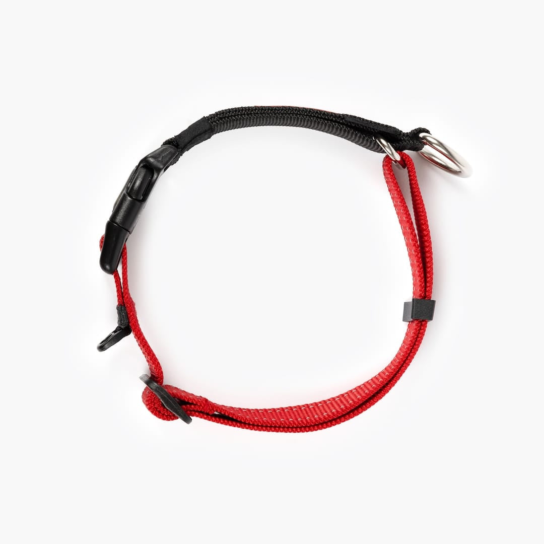 View from top of a red checkmate collar in white background