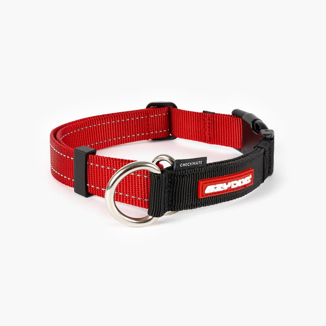 a red checkamte collar in white background