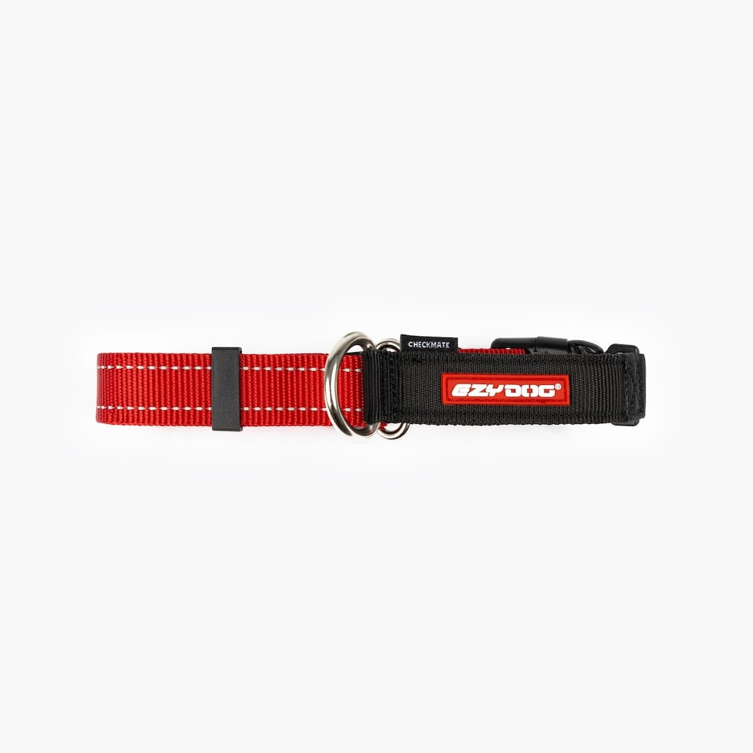the front view of red checkmate collar in white background