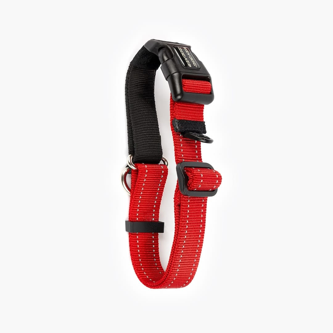 Red and black dog collar on a white background
