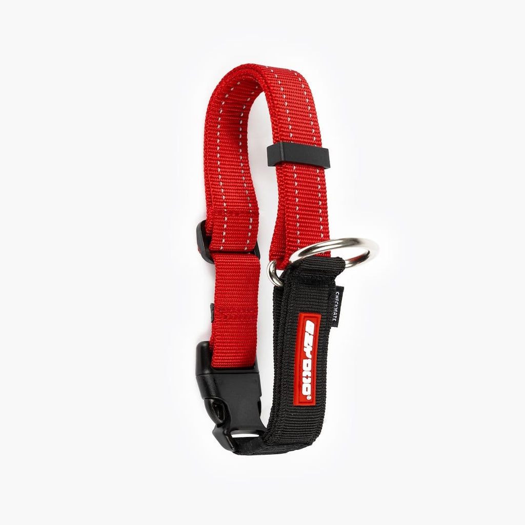 Red and black dog checkmate collar on a white background