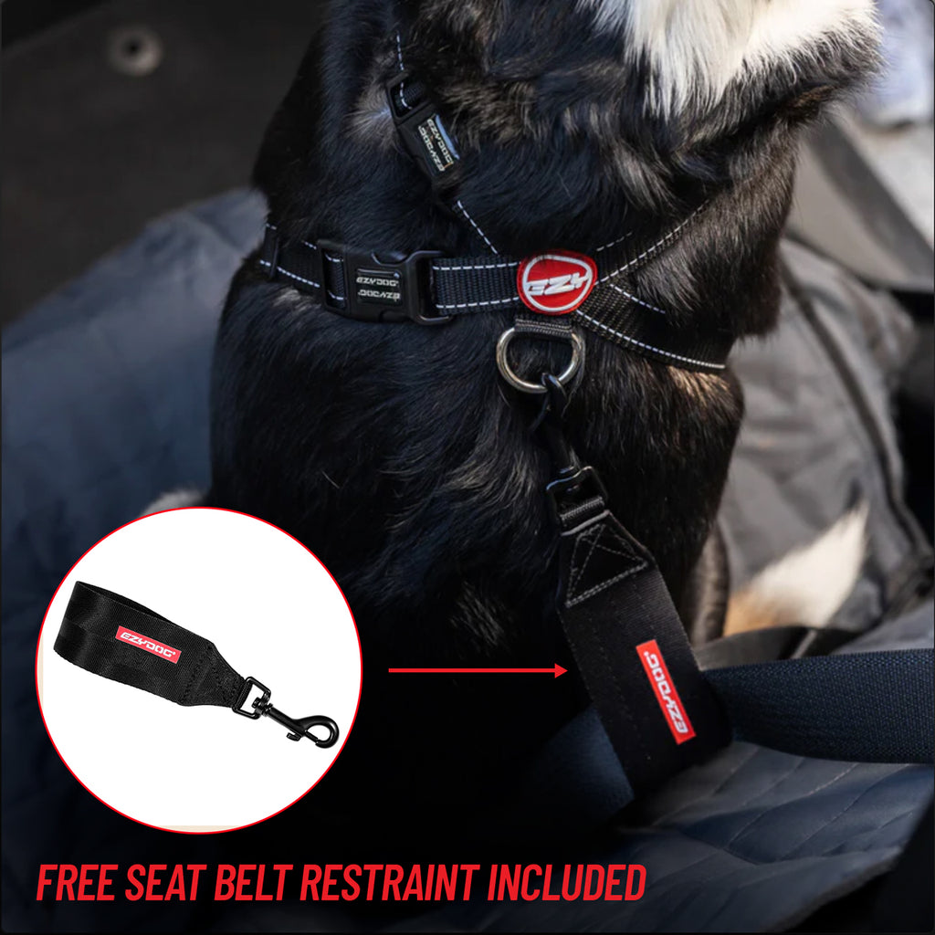 Dog wearing a black harness with a seat belt restraint, inset showing the restraint.