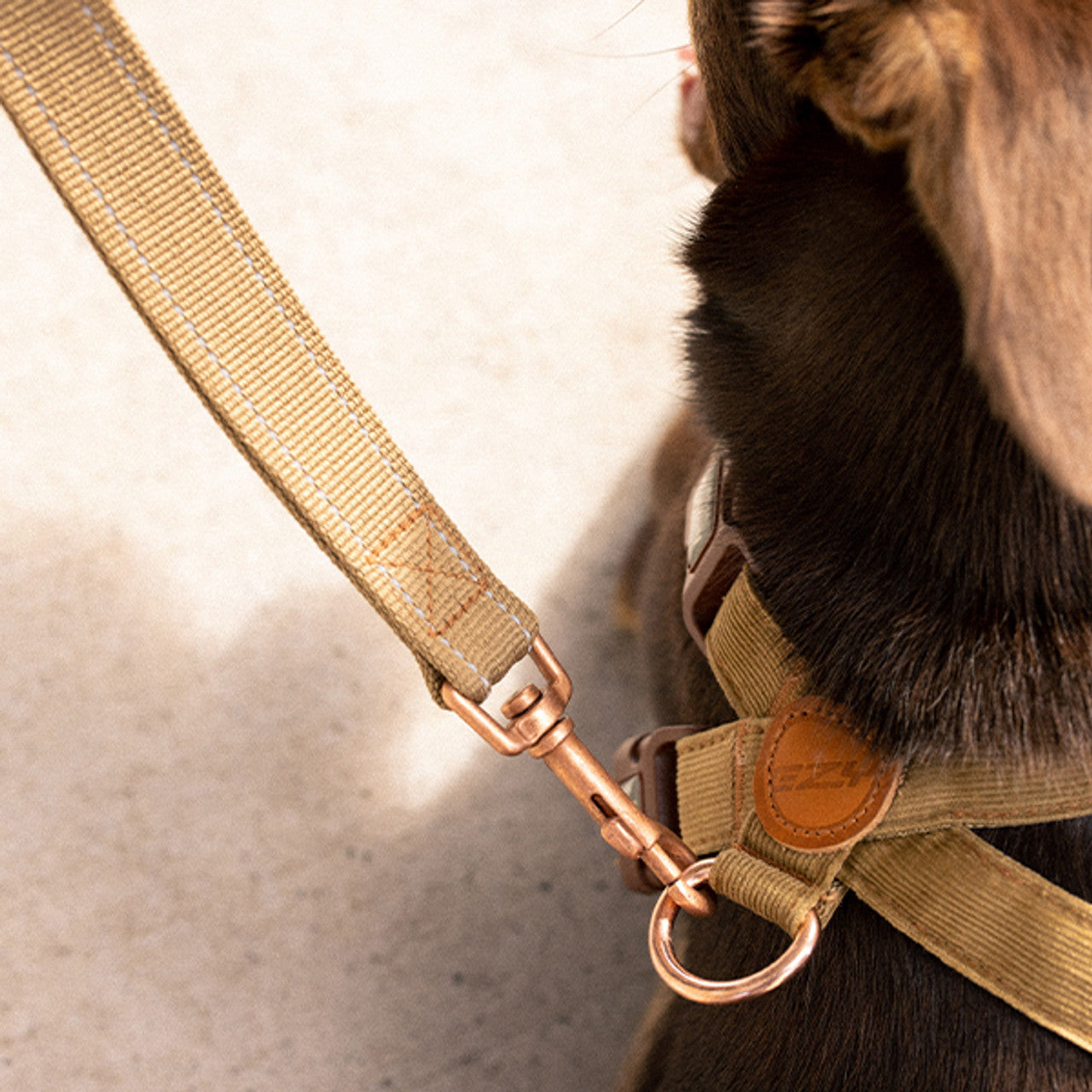 Corduroy - Soft Trainer™ Leash LITE