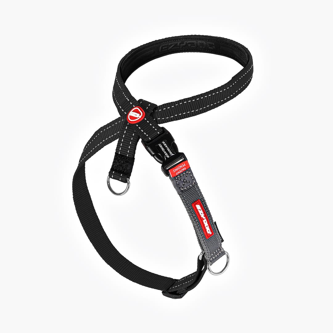 Crosscheck™ Dog Harness