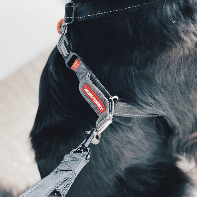 Crosscheck™ Dog Harness