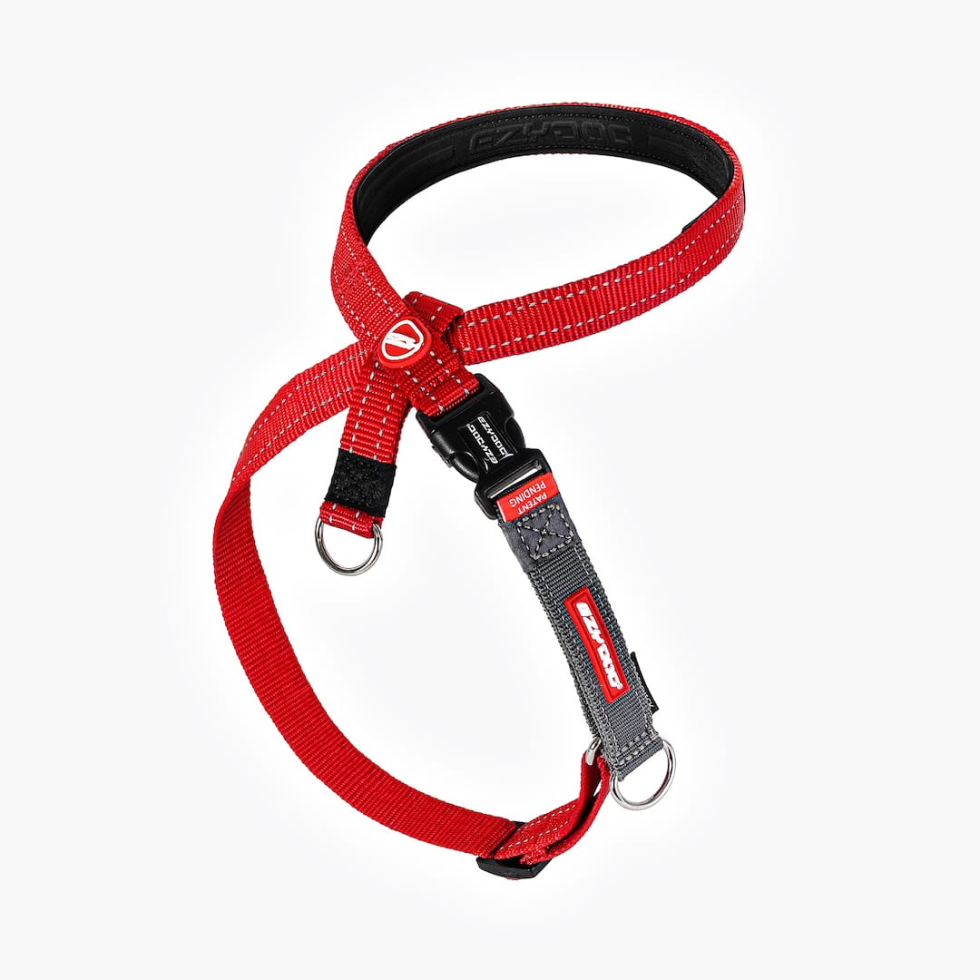 Crosscheck™ Dog Harness