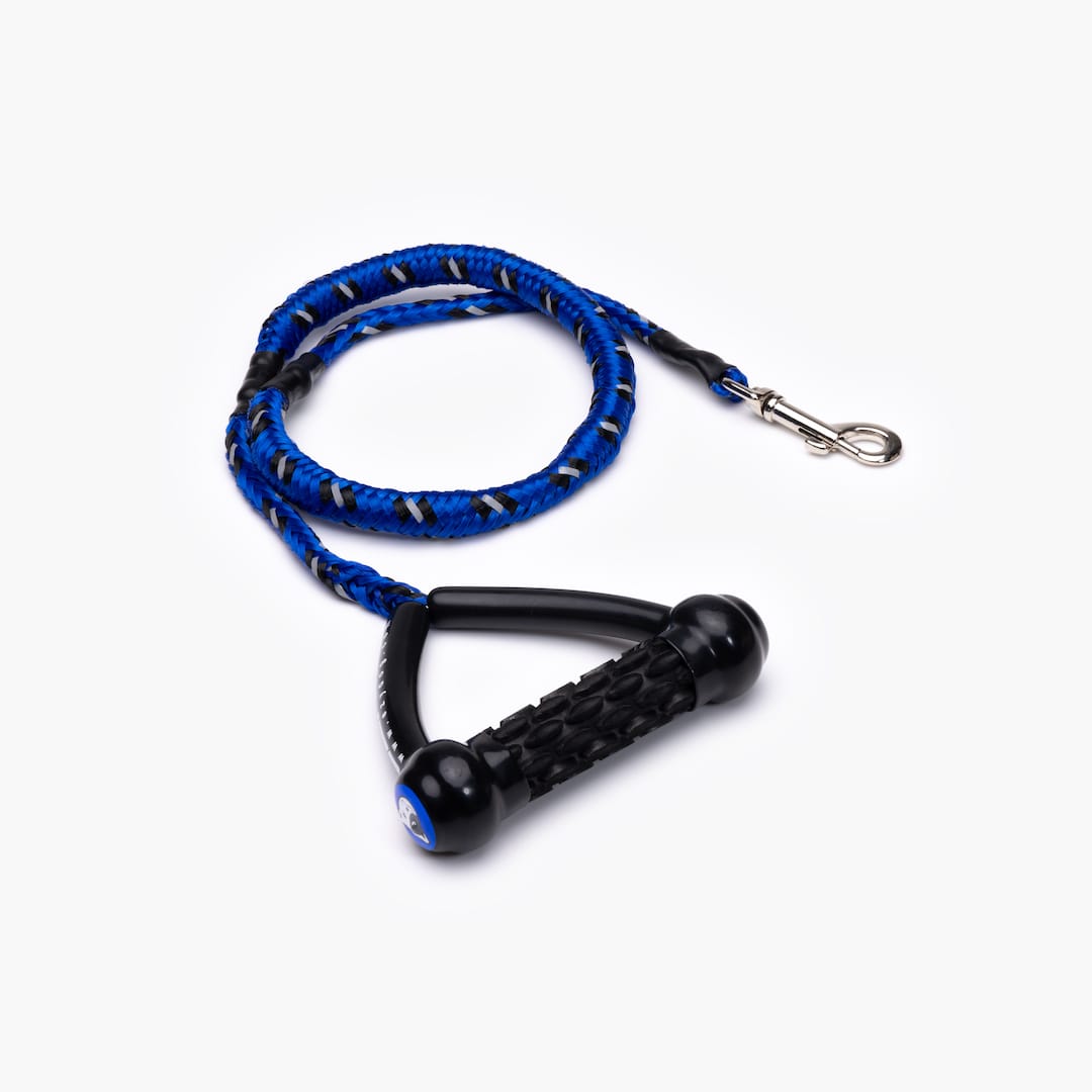 A black and blue shock-absorbing dog leash with a handle and metal clasp.