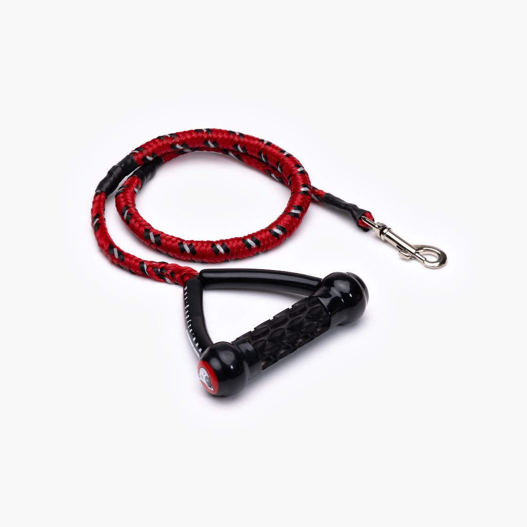 A red shock-absorbing dog leash with a handle and metal clasp.