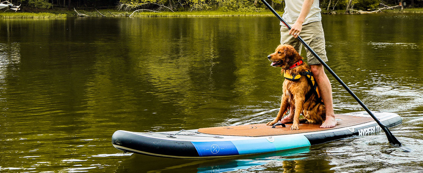 Person paddleboarding with a dog on a lake