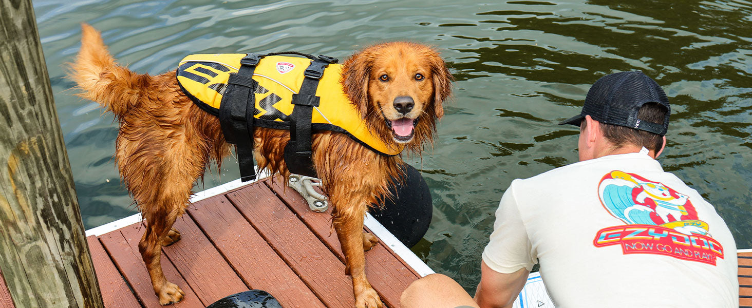 Dog wearing a yellow life jacket on a dock next to a person in the water.