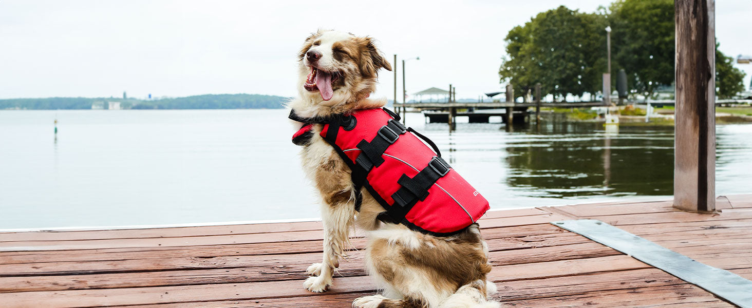 Dog wearing a red life jacket on a wooden dock by a body of water.