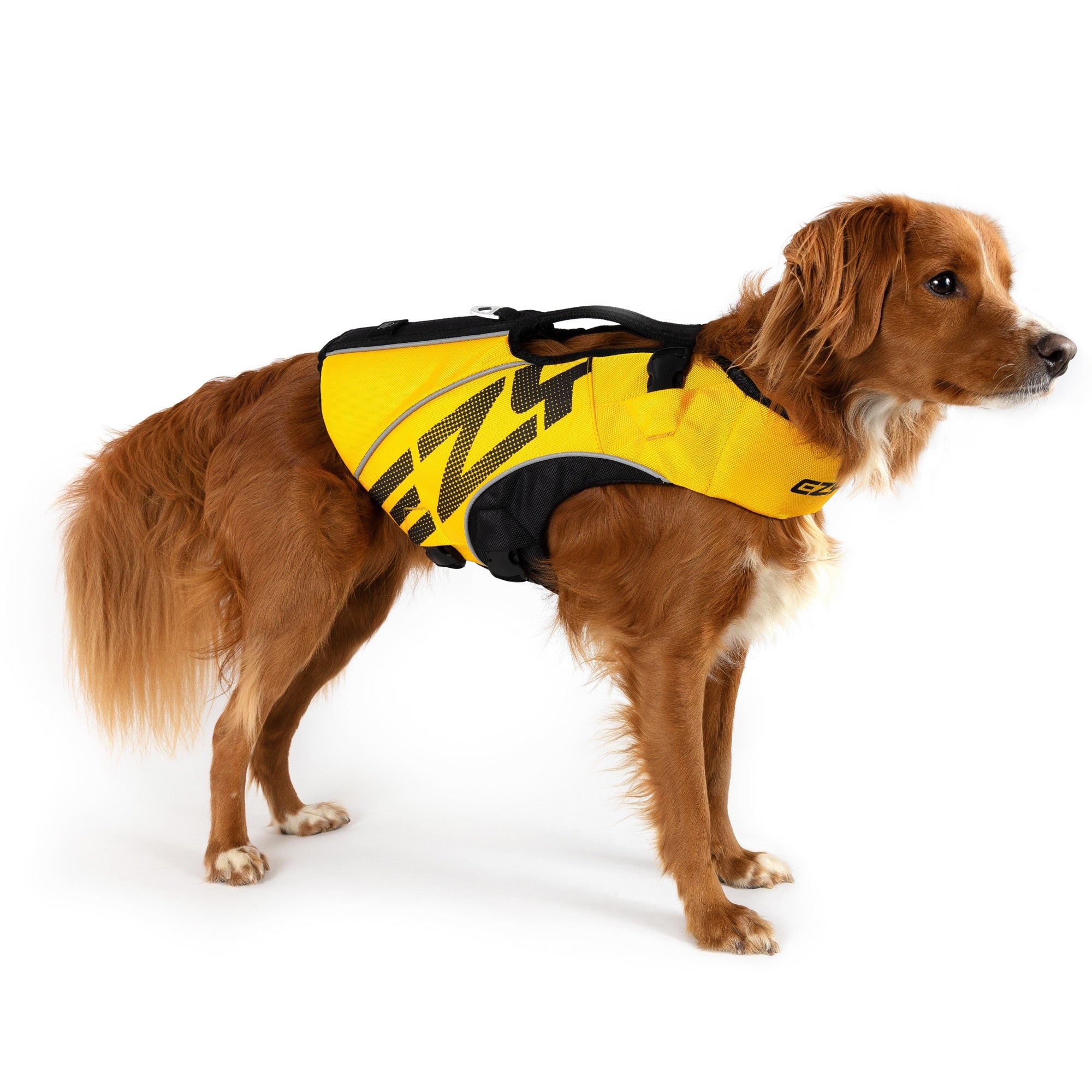 Dog wearing a yellow and black life jacket on a white background