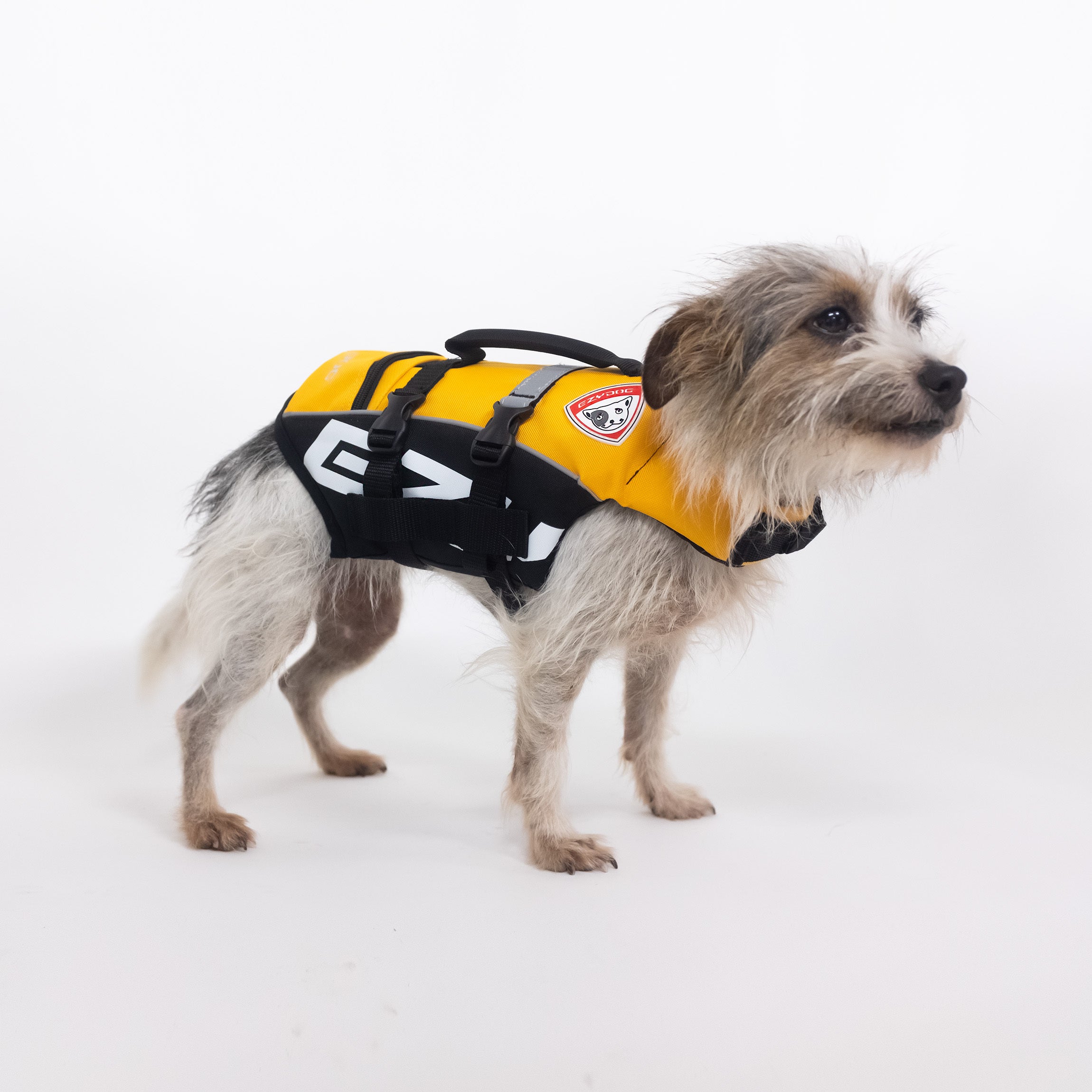 Dog wearing a yellow life jacket on a white background
