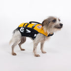 dog wearing Yellow Micro DFD life jacket 