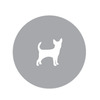 Designed for Smaller Dogs