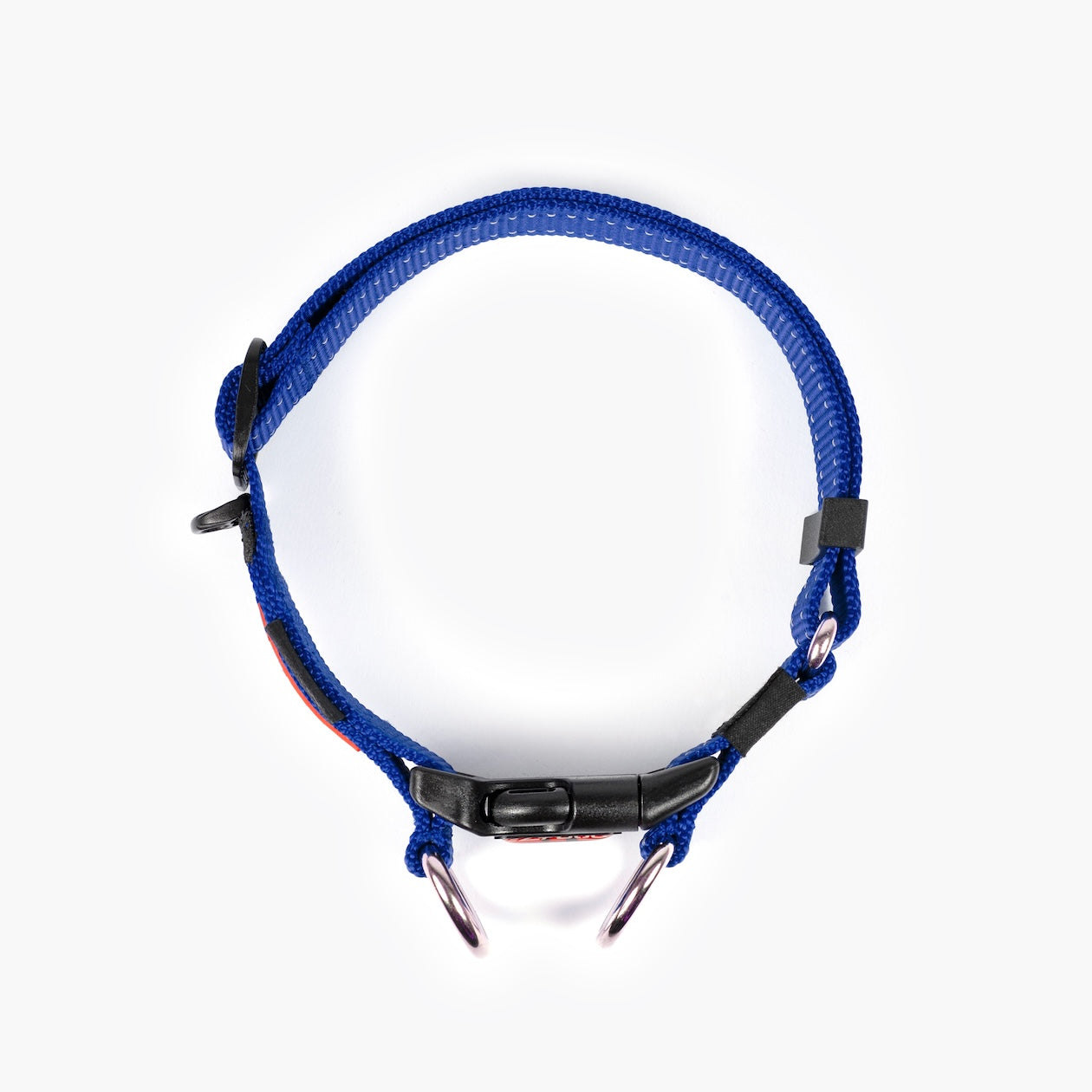 Blue dog collar with black buckle on a white background
