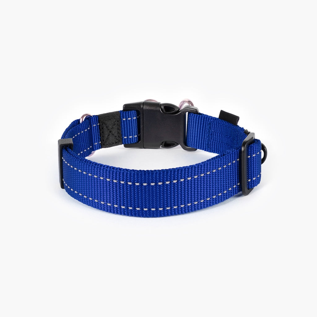 Blue dog collar with black buckle on white background