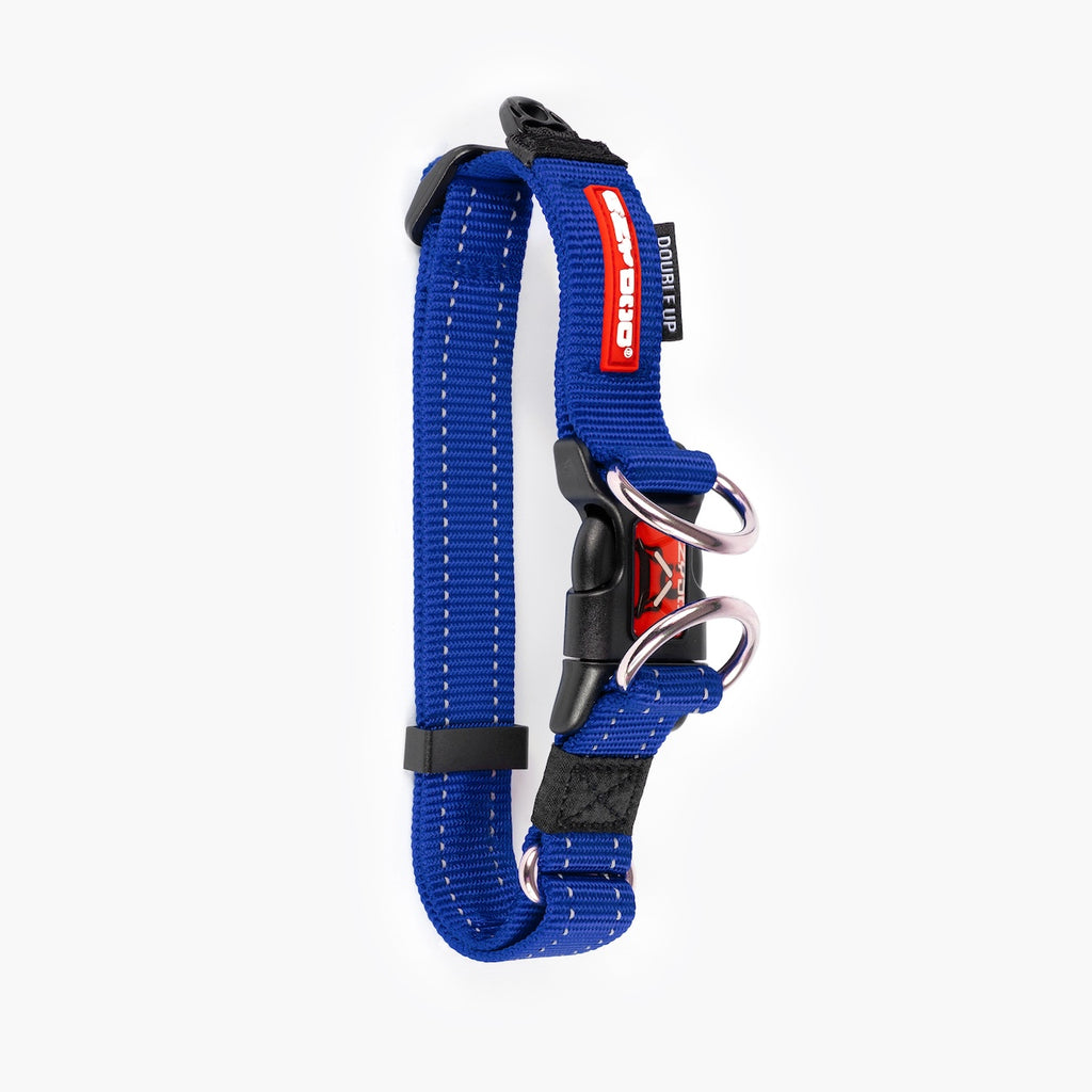 Blue dog collar with black and red accents on a white background