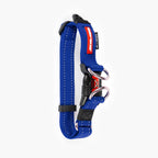 Blue dog collar with black and red accents on a white background