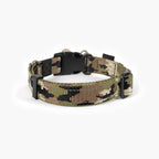 Camouflage patterned dog collar on a white background