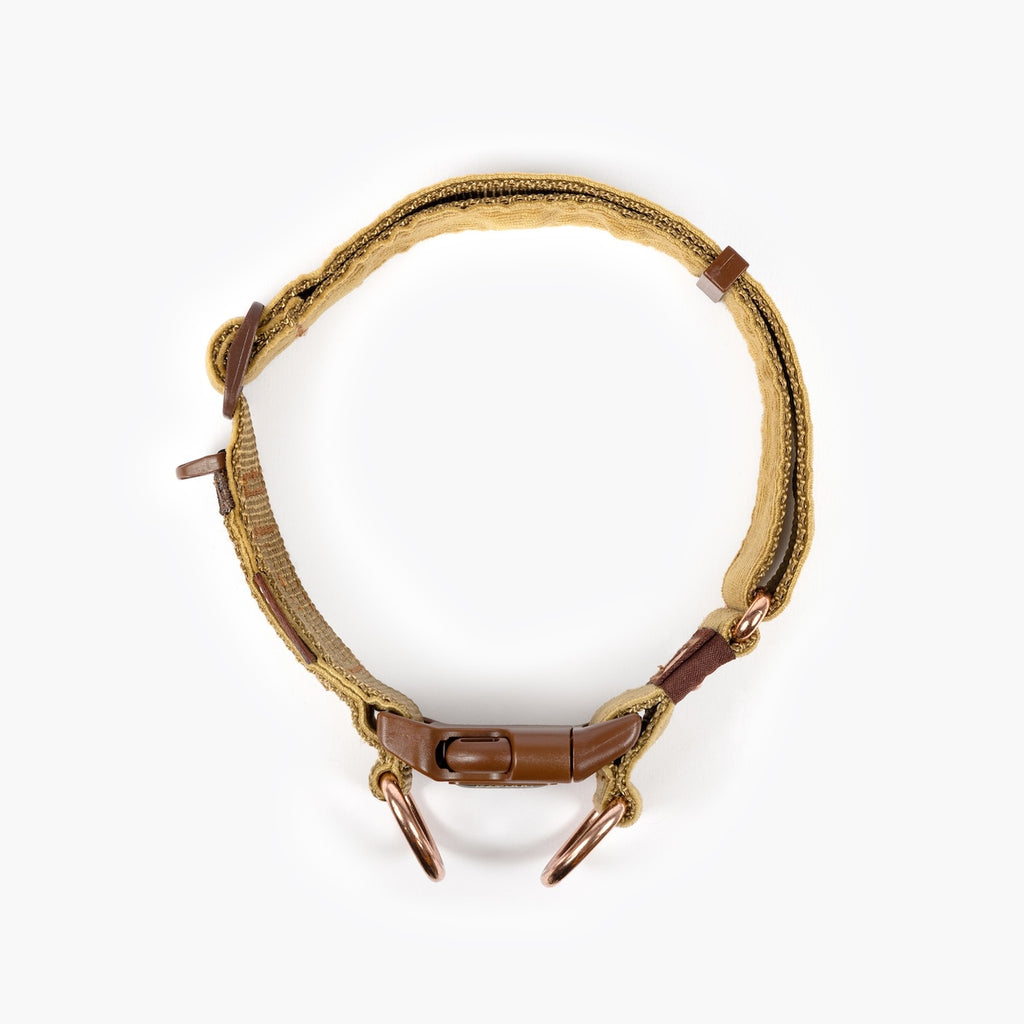 Dog collar with brown straps on a white background