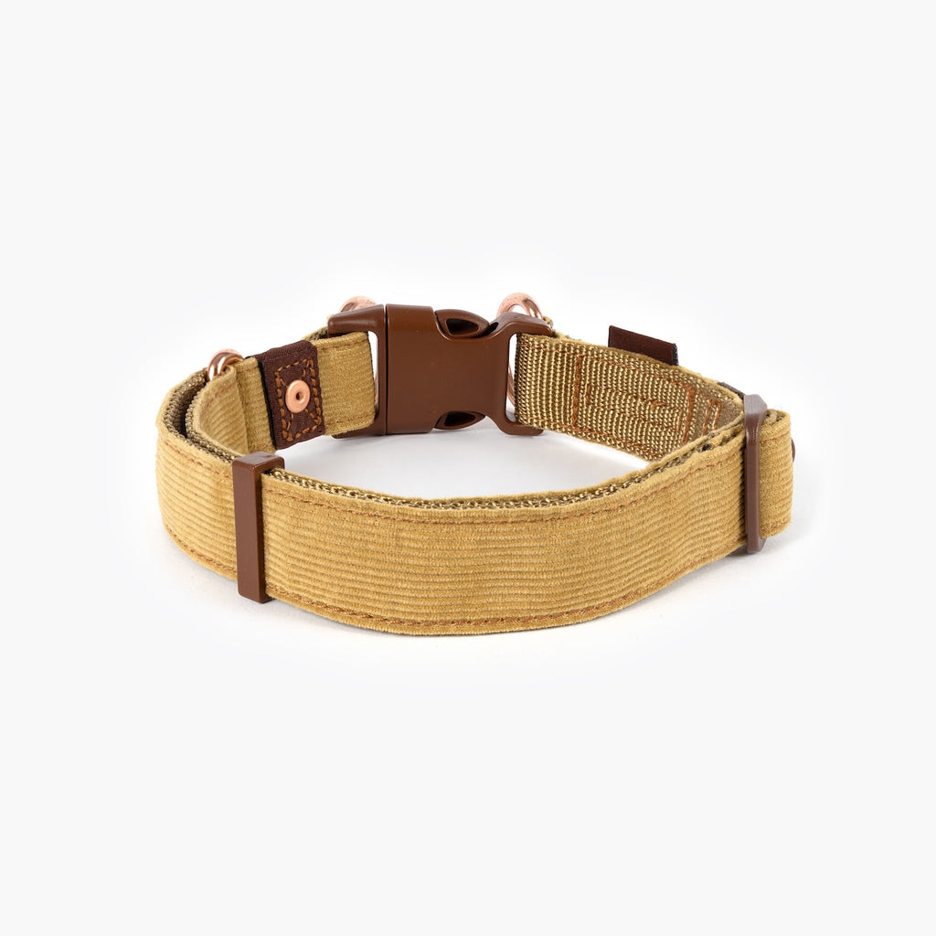Tan dog collar with brown buckle on white background