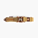 Dog collar with buckle on white background