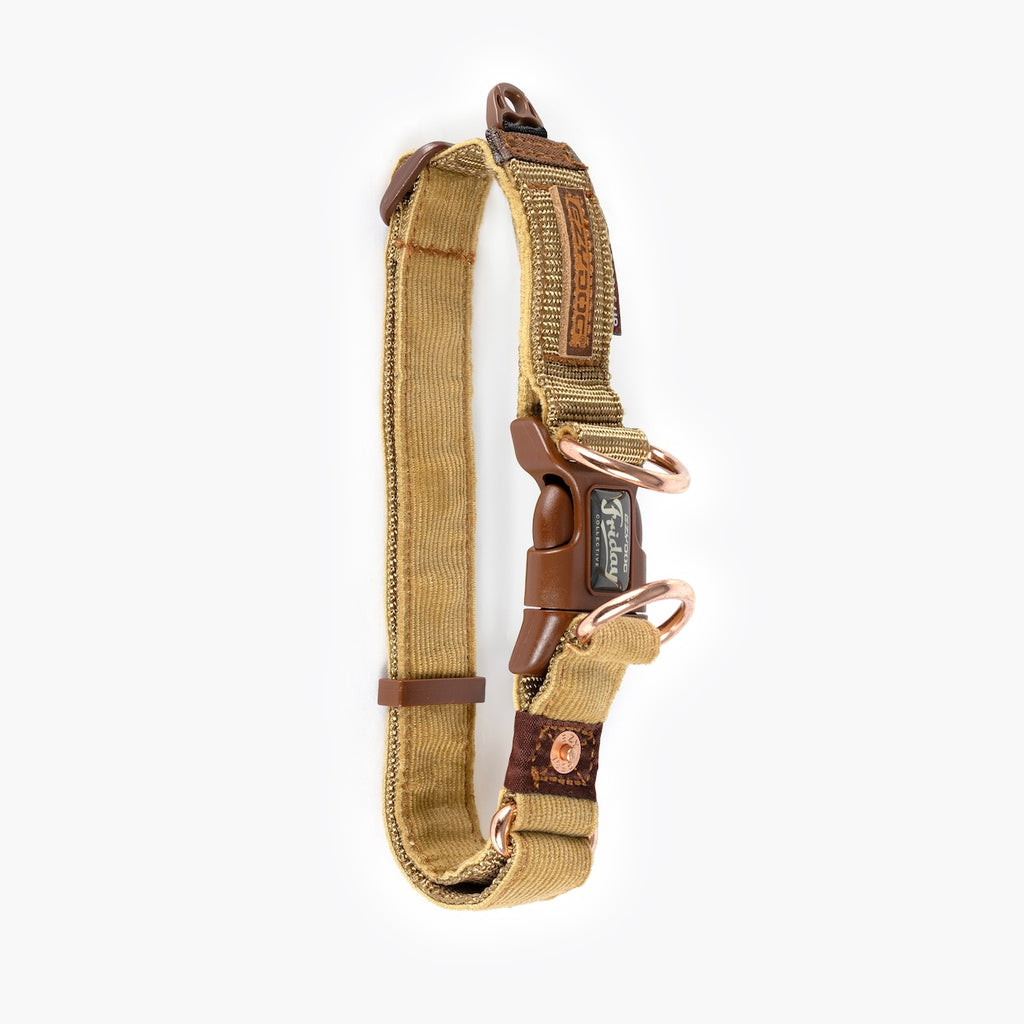 Tan dog collar with brown leather accents on a white background.