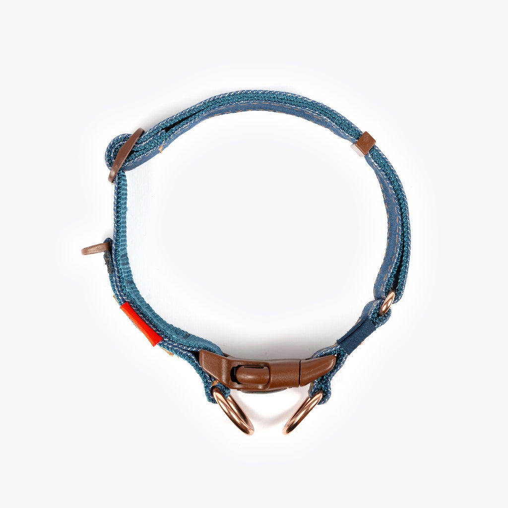 Blue dog collar with brown buckle and red accent on white background