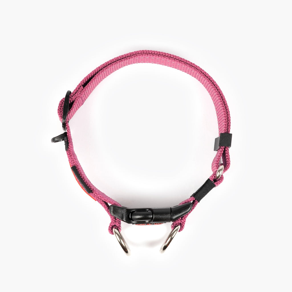 Pink dog collar with black buckles on a white background
