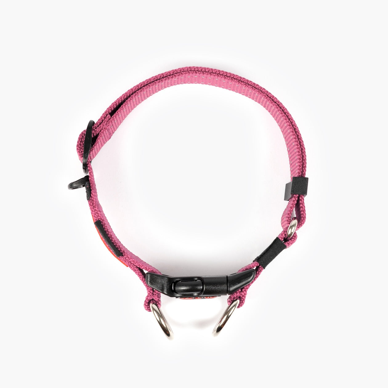 Pink dog collar with black buckles on a white background