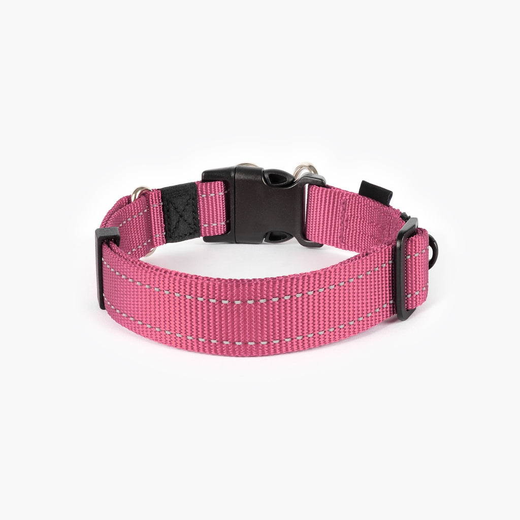 Pink dog collar with black buckle on a white background