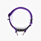 Purple dog collar with black buckle on a white background