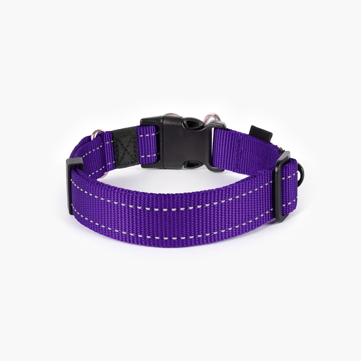 Purple dog collar with black buckle on white background