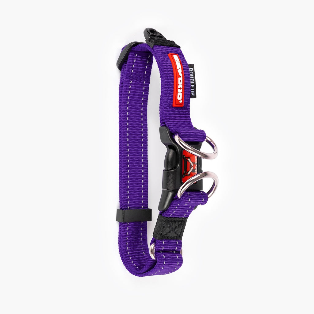 Purple dog collar with black and red accents on a white background