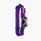 Purple dog collar with black and red accents on a white background