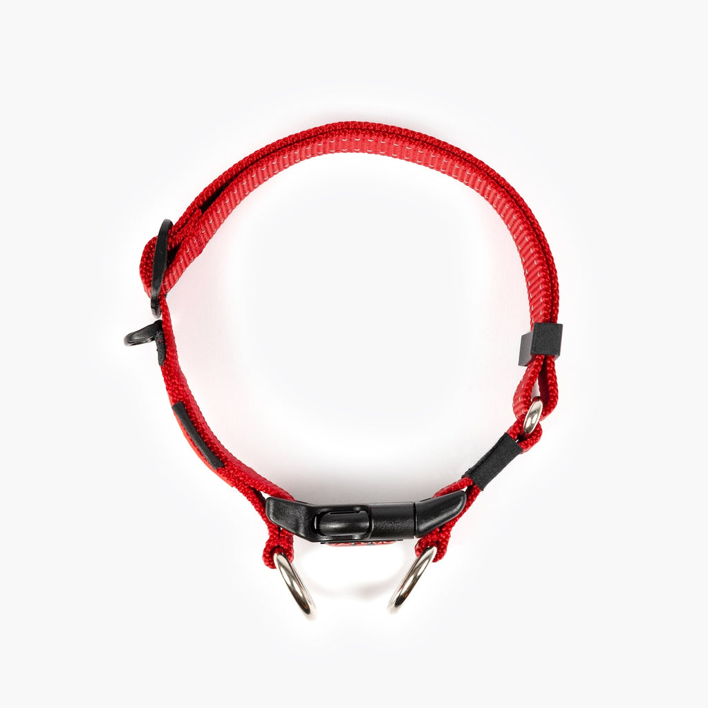 Red and black dog collar on a white background