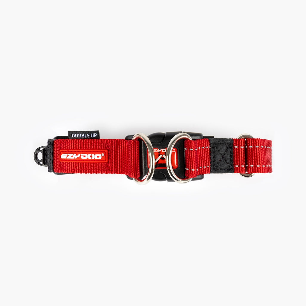 Red and black dog collar on a white background