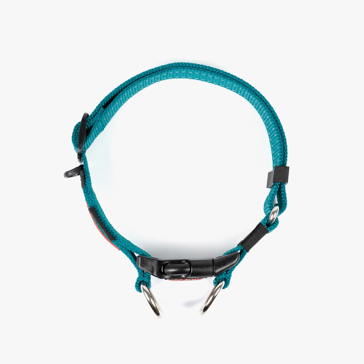 Teal dog collar with black buckle on white background