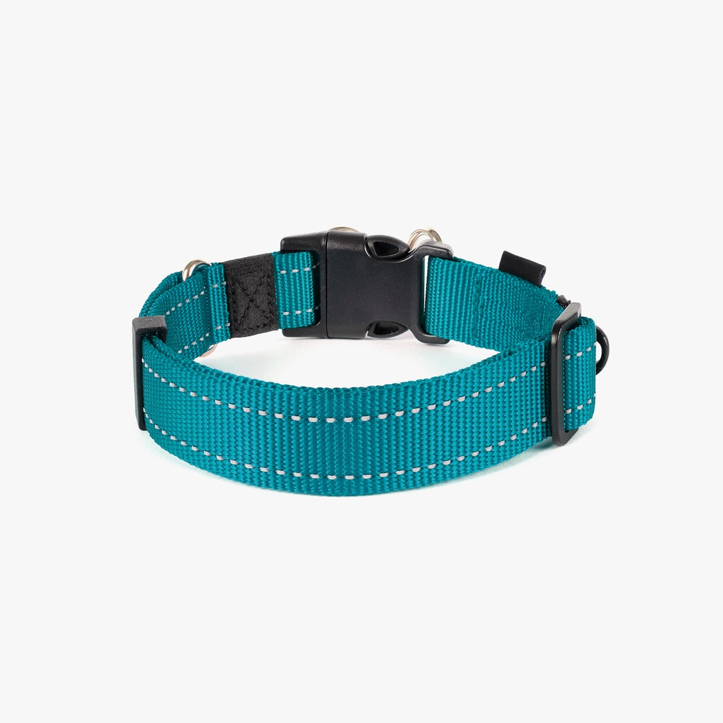Teal dog collar with black buckle on white background