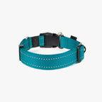 Teal dog collar with black buckle on white background