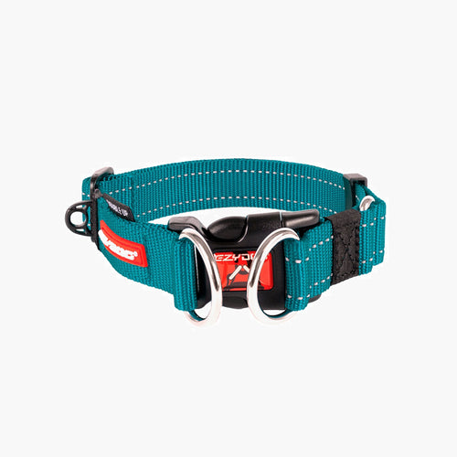 A teal dog collar with a metal buckle, designed for durability and comfort.