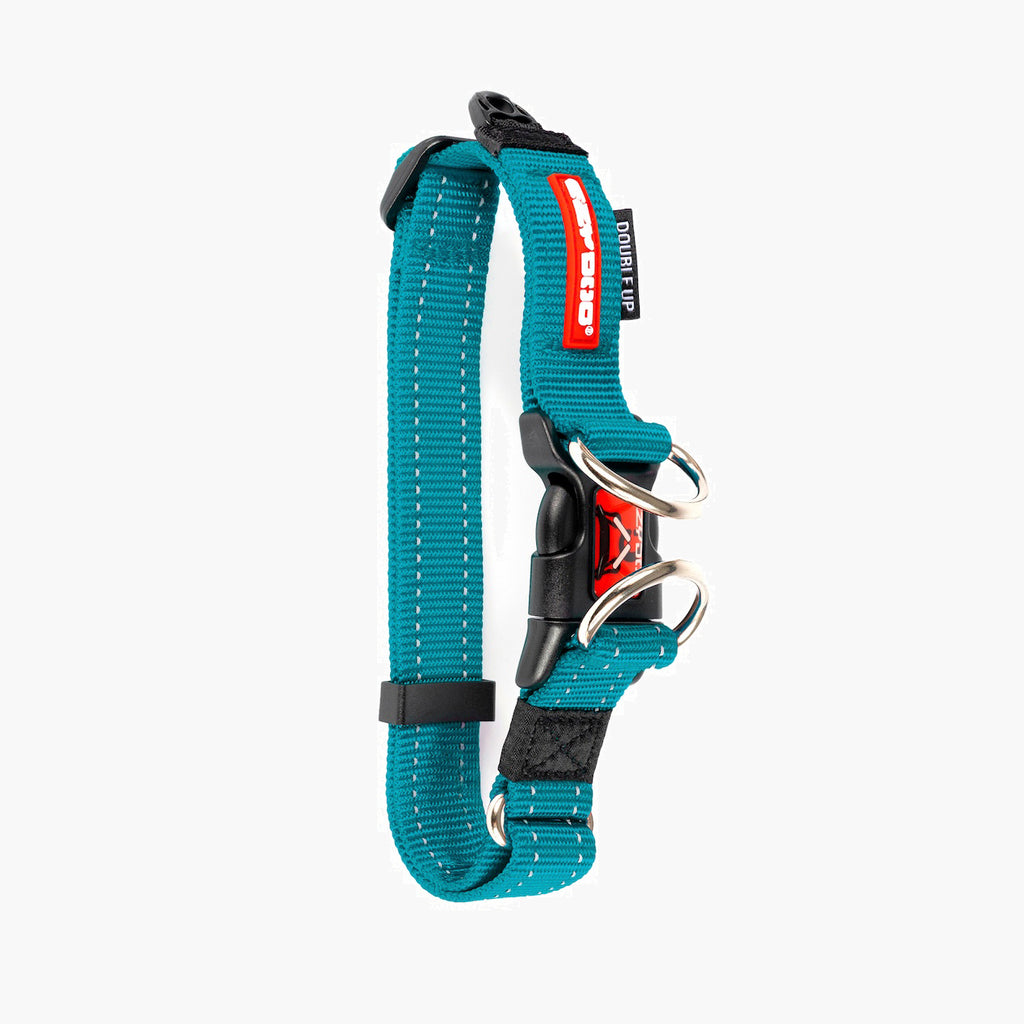 Teal dog collar with black and red accents on a white background