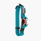 Teal dog collar with black and red accents on a white background