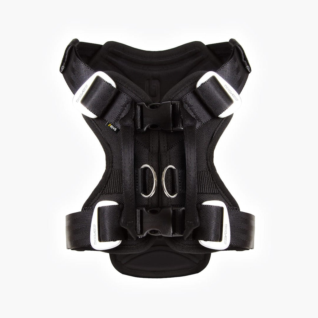 dog car harness back view
